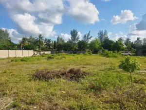 Beach Plot at Kigamboni Bilioni3