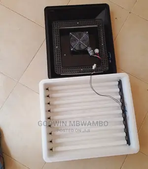 Mashine Ya Kuangulia Vifaranga (56)