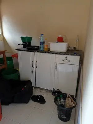 1bdrm Apartment in Mikocheni for Rent