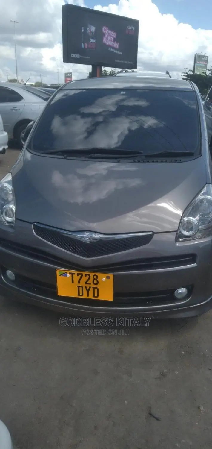 Toyota Ractis 2009 Gray