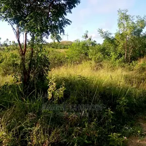 Acre 2500 Zinauzwa Mkata Tanga Milion 380 Kilomita 11