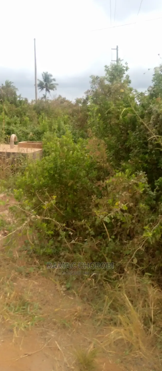 Acre 300 for Sale Kiwangwa-Bago