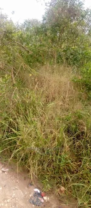 Acre 300 for Sale Kiwangwa-Bago