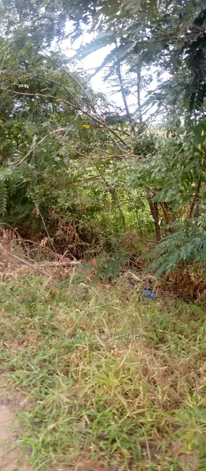 Acre 100 Kiwangwa Umbali Kilomita 11 Bei Milion 50 Zote
