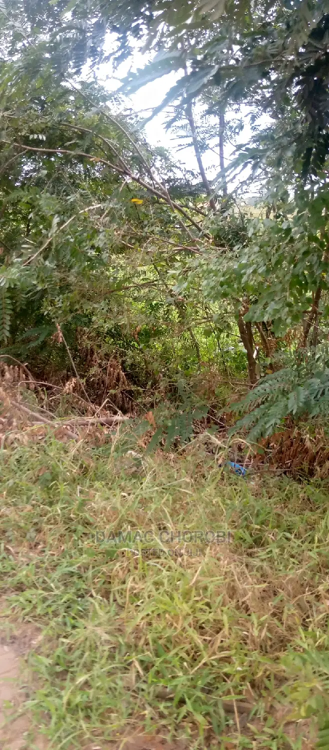 Acre 100 Kiwangwa Umbali Kilomita 11 Bei Milion 50 Zote