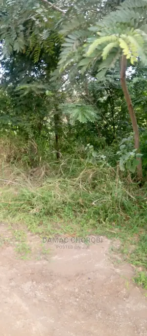 Acre 17 Zipo Kiwangwa Milion 25 Kilomita Moja Tu