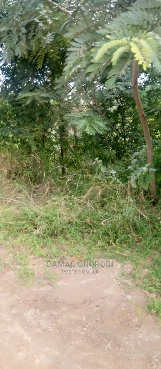 Acre 17 Zipo Kiwangwa Milion 25 Kilomita Moja Tu