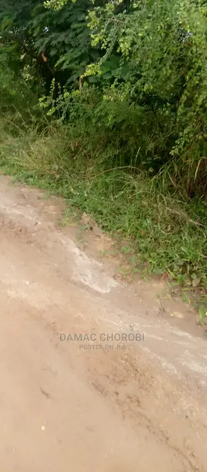 Acre 17 Zipo Kiwangwa Milion 25 Kilomita Moja Tu