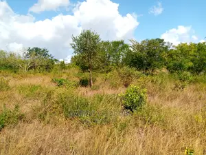 Acre 16 Bagamoyo for Sale