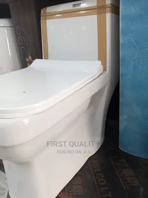 Sitting Toilet