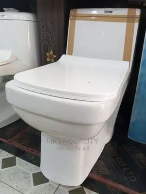 Sitting Toilet