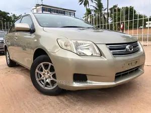 Toyota Axio 1.5 G 2WD 2007 Gold