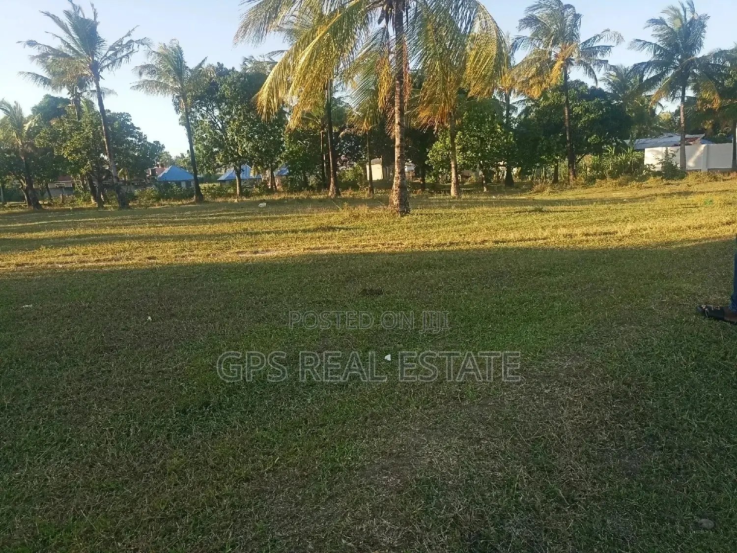 Good Plot For Sale