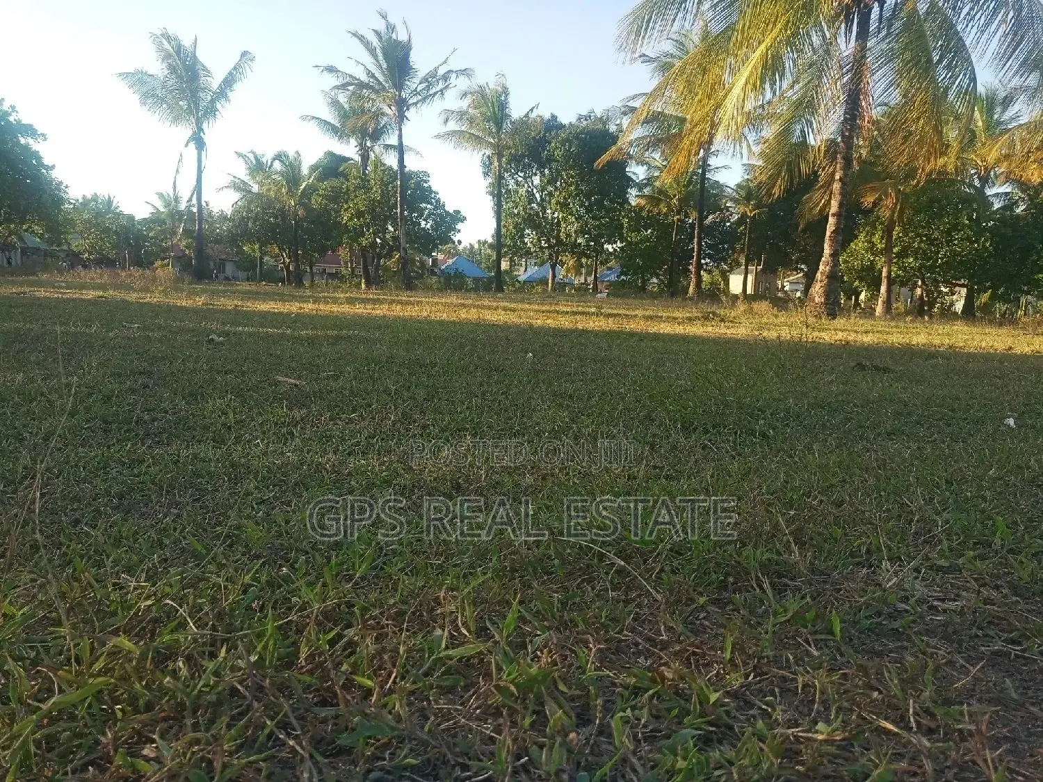 Good Plot For Sale