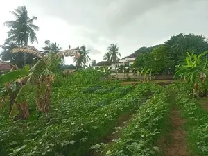 Titled Plot for Sale