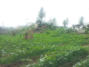 Titled Plot for Sale