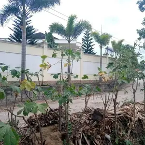 Plot for Sale ( Airpot )