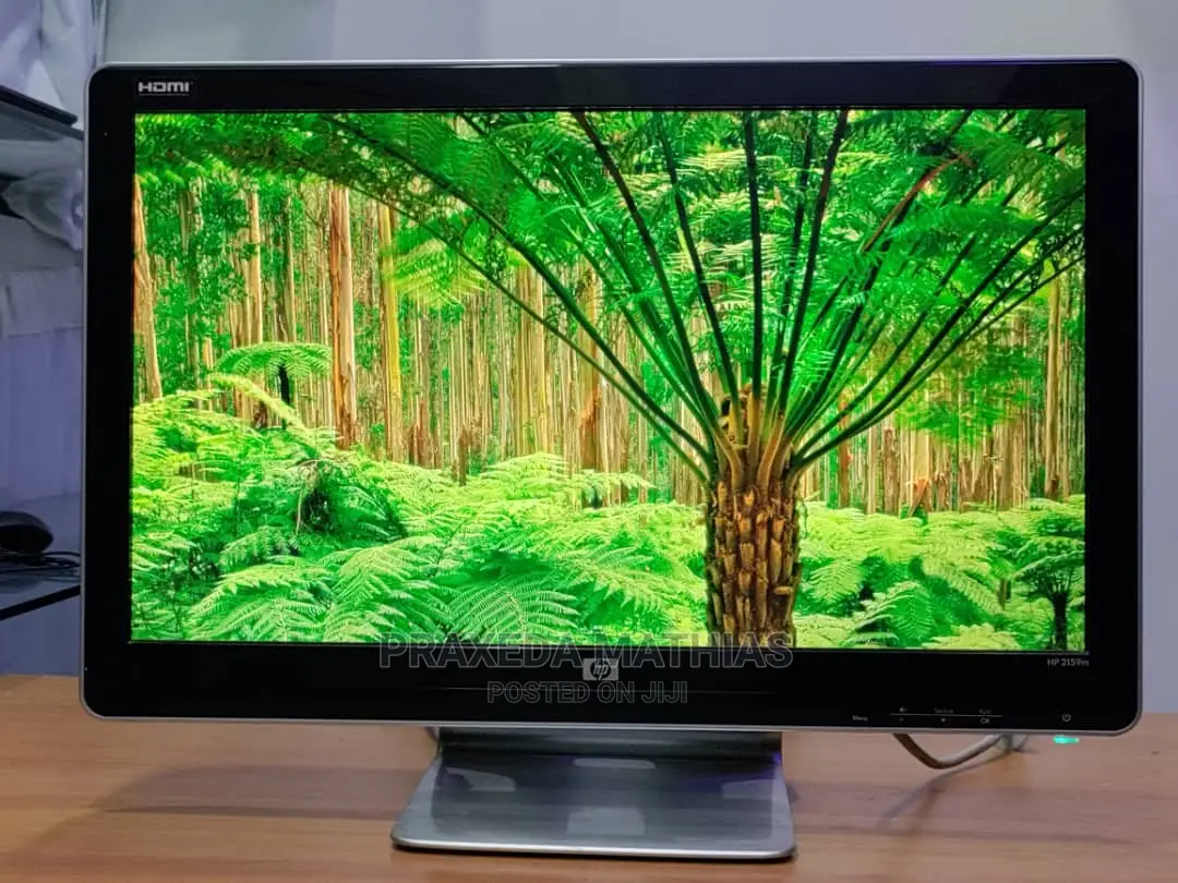 Dell Monitors