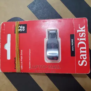 Sandisk Flash Drive
