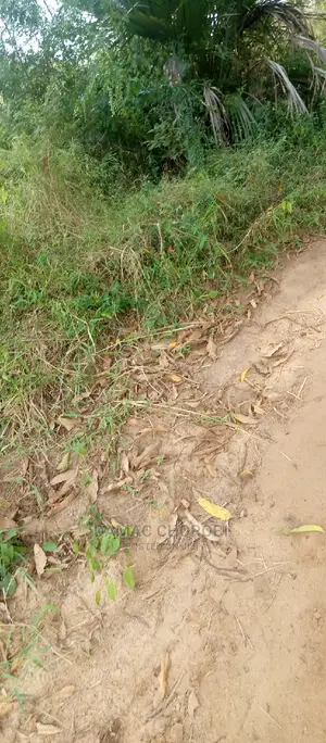 Acre 10 Kiwanga Pwani for Sale
