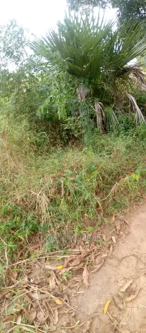 Acre 10 for Sale Kiwangwa