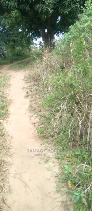 Acre 5 Zinauzwa Kiwangwa Bagamoyo