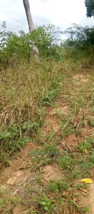 Acre 5 Zinauzwa Kiwangwa Bagamoyo