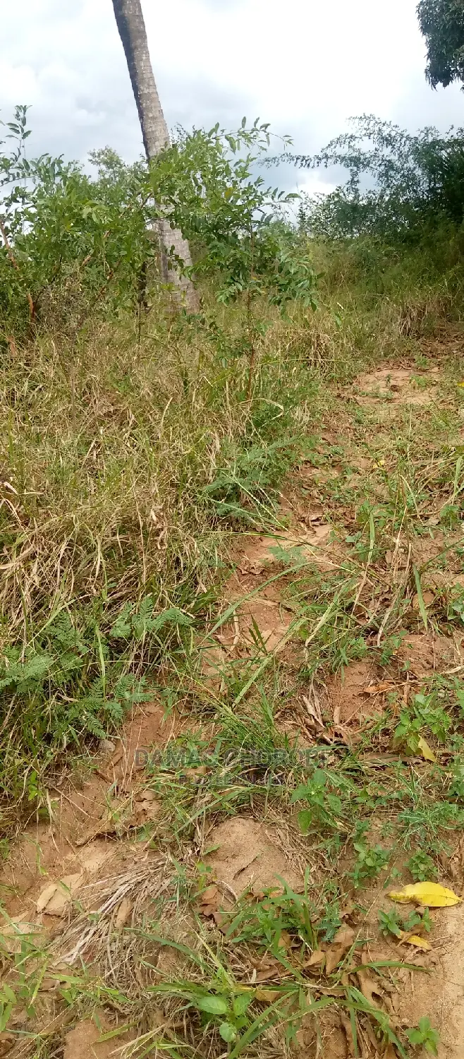 Acre 5 Zinauzwa Kiwangwa Bagamoyo