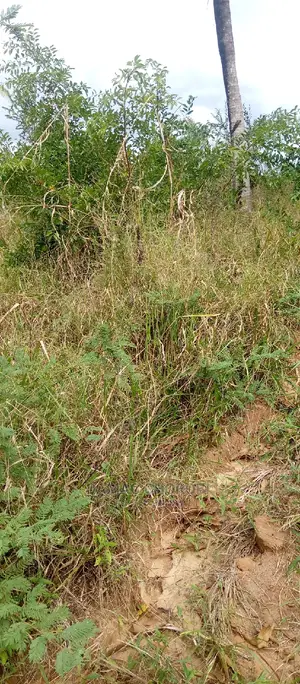 Acre 5 Zinauzwa Kiwangwa Bagamoyo