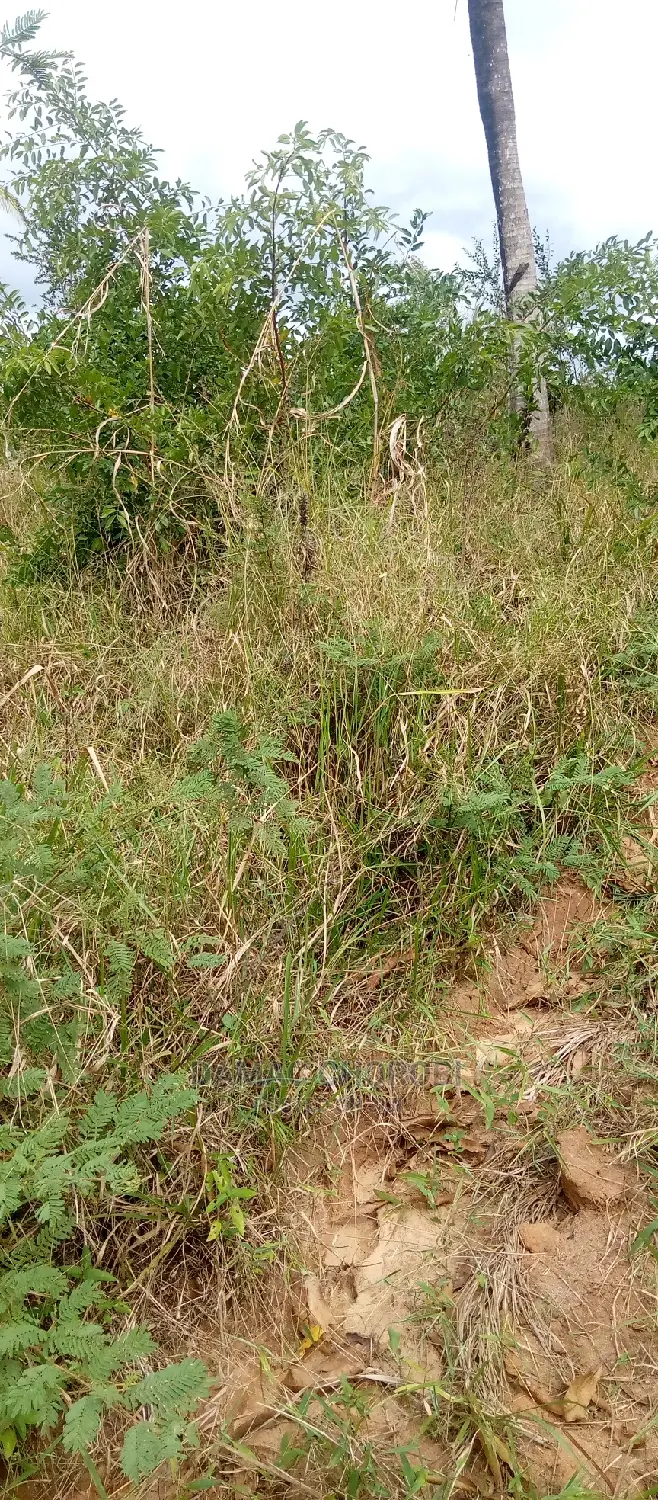 Acre 5 Zinauzwa Kiwangwa Bagamoyo
