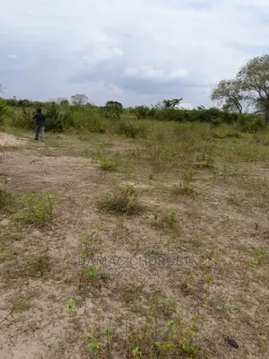 Acre 20 Kiwangwa-Bago for Sale