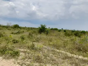 Acre 15 Kiwangwa Bagamoyo for Sale