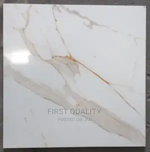 Indian Floor Tiles 60*60