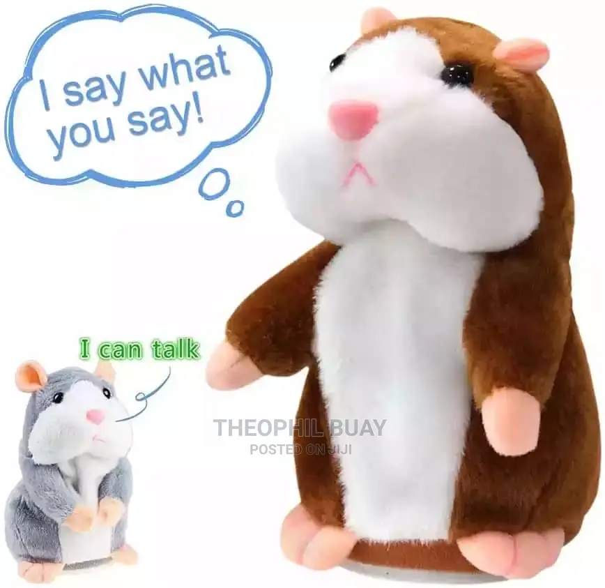 Repeating Voice Toy