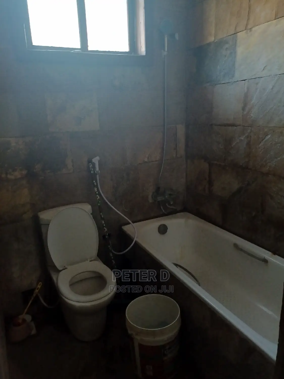 Furnished 1bdrm Apartment in Kijitonyama for rent