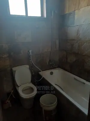 Furnished 1bdrm Apartment in Kijitonyama for rent