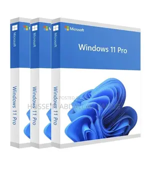 Microsoft Windows 11 Pro