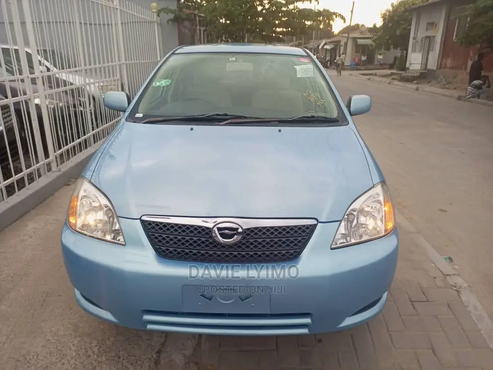 Toyota Corolla RunX 2004 Blue