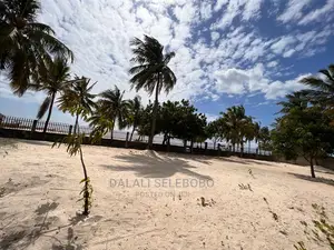 Beach Plot at Ununio