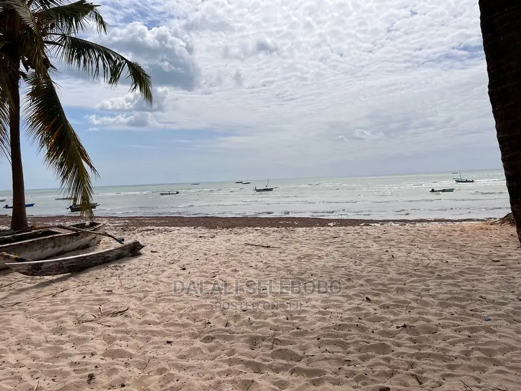 Beach Plot at Ununio