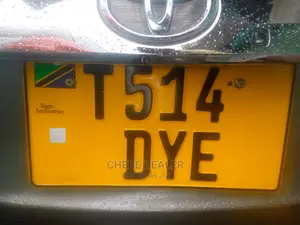 Toyota Ractis 2006 Gray