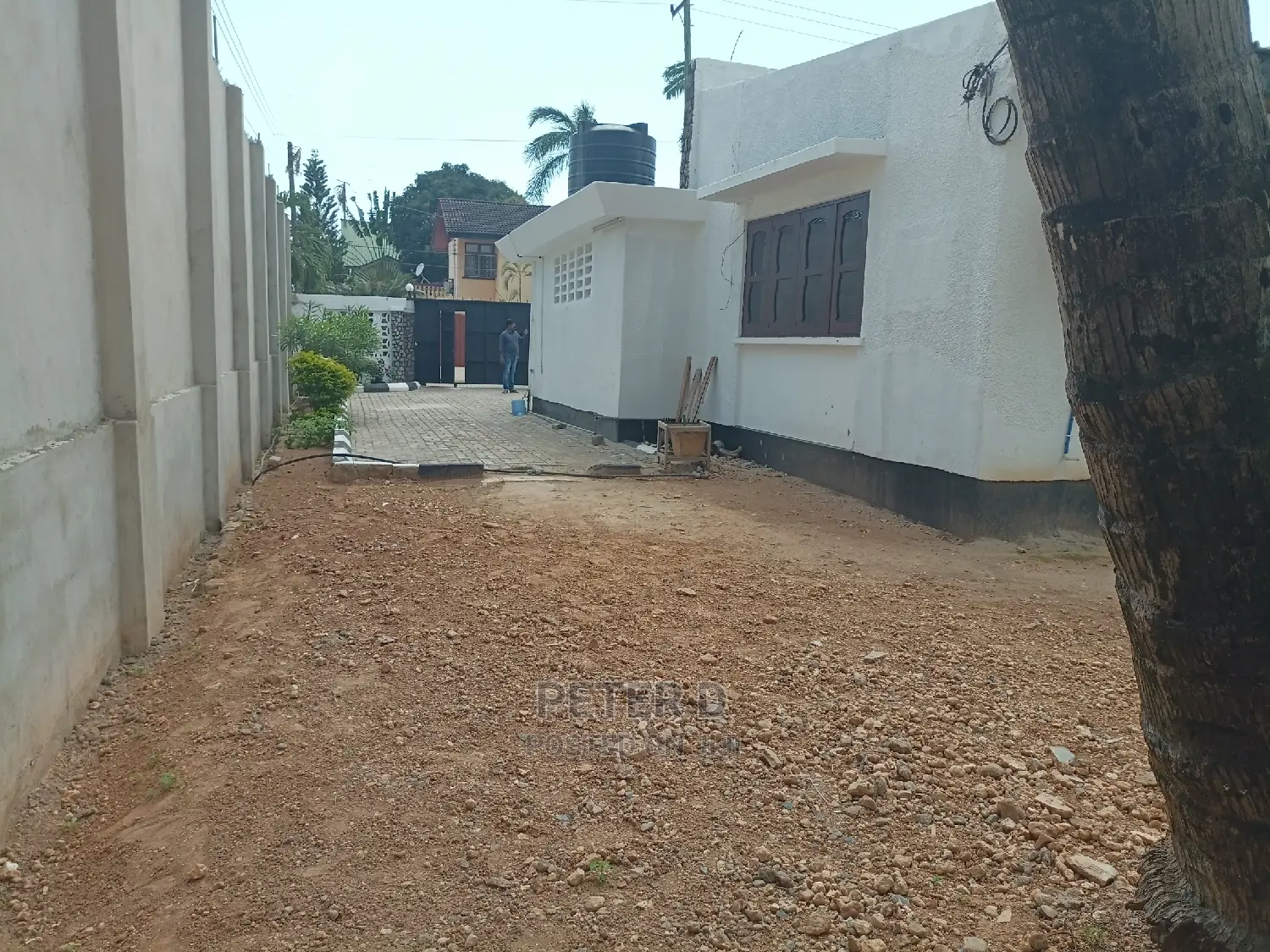 3bdrm House in Mikocheni for rent