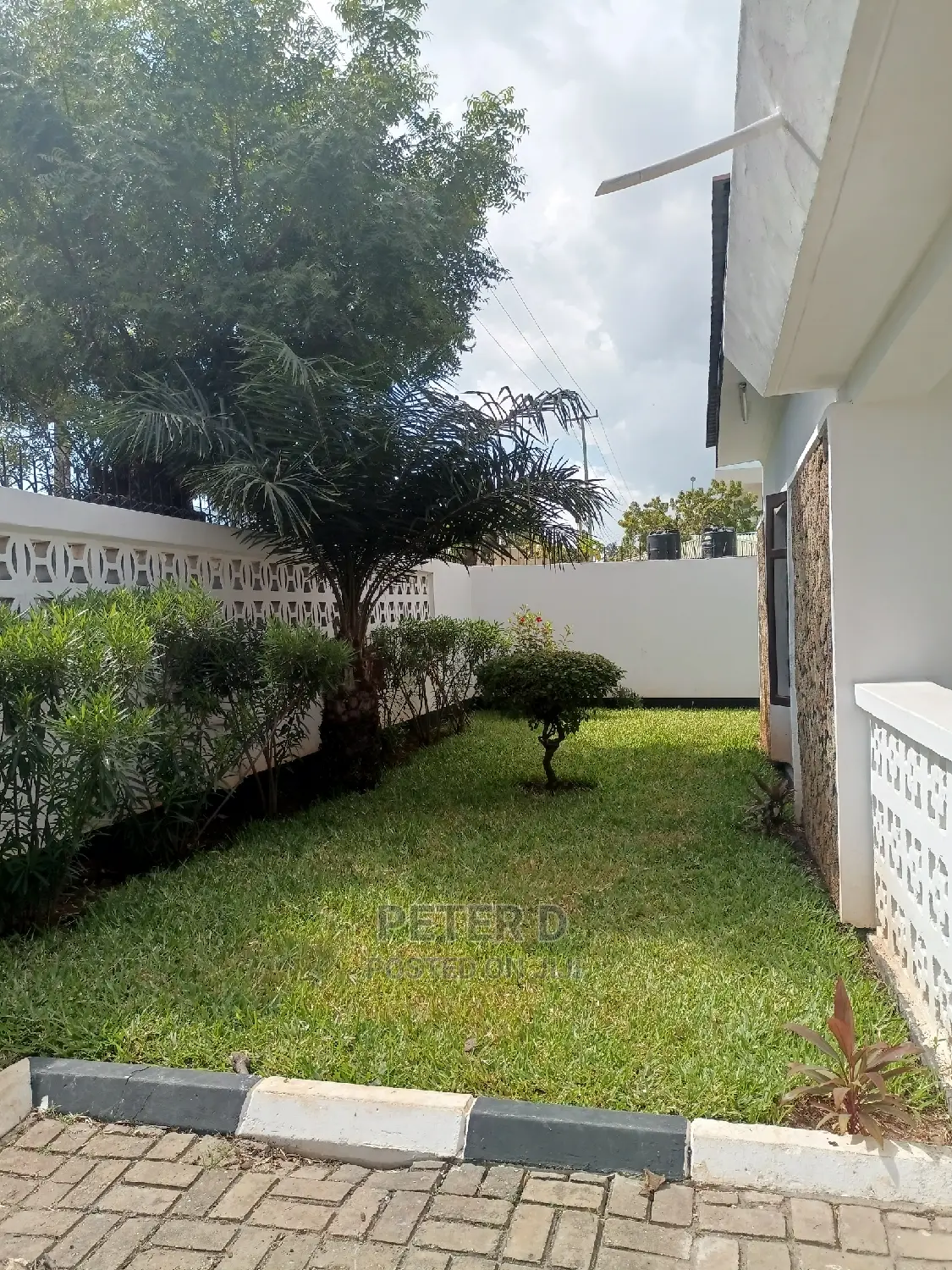 3bdrm House in Mikocheni for rent