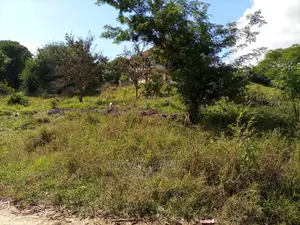 Plot for Sale at Kigamboni Geza Ulole