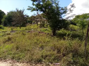 Plot for Sale at Kigamboni Geza Ulole