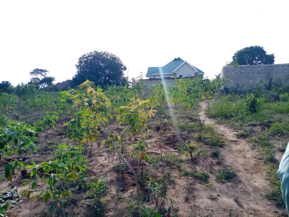Plot for Sale at Kigamboni Kibada