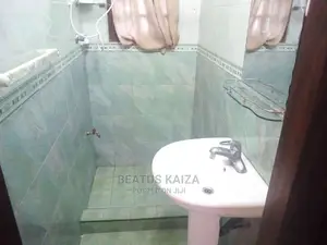 2bdrm Apartment in Upanga Kiwanuka for rent