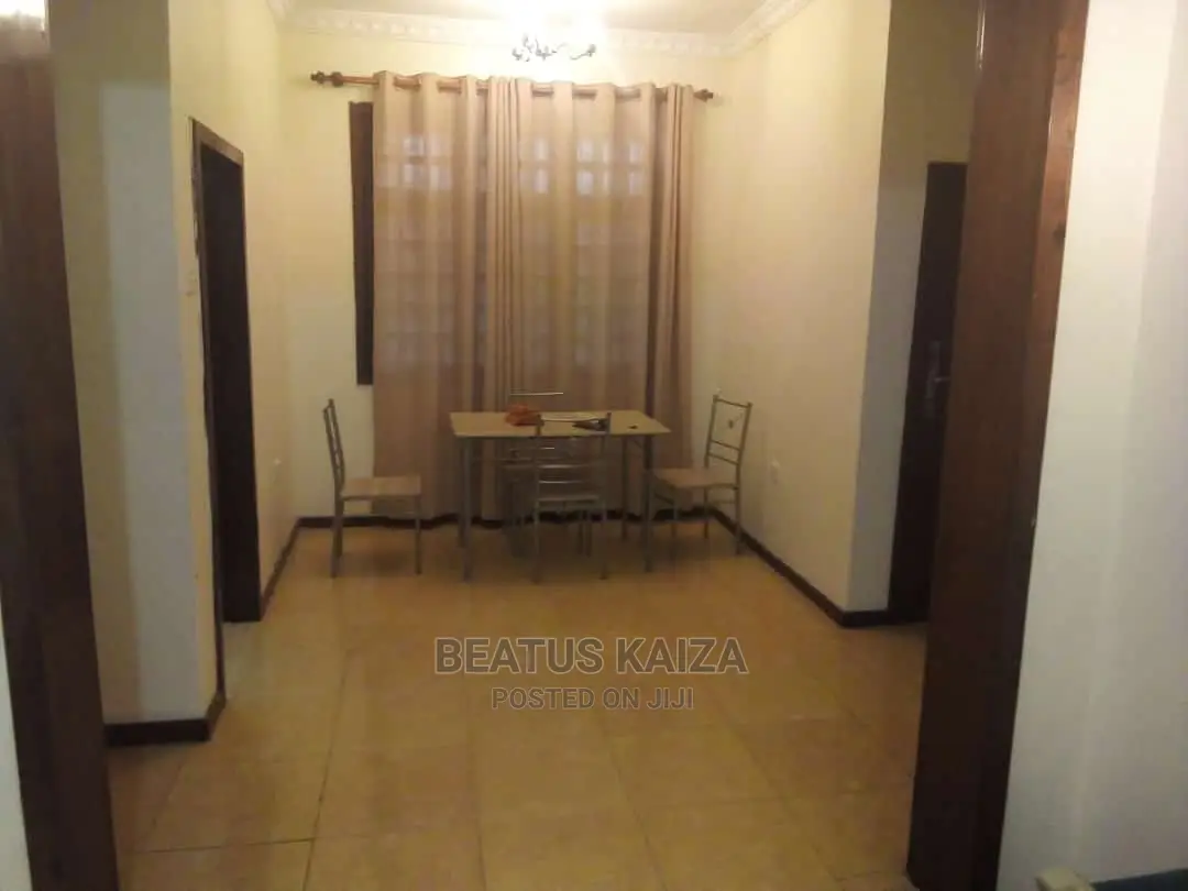 2bdrm Apartment in Upanga Kiwanuka for rent