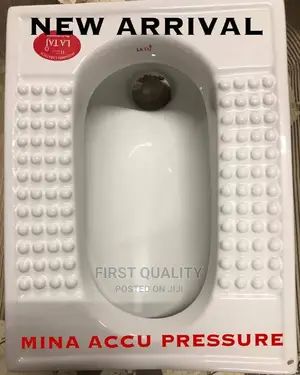 Toilet Sink