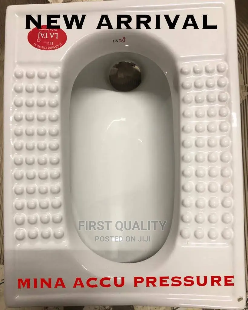 Toilet Sink